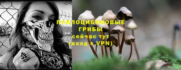тгк Беломорск