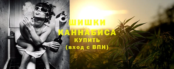эйфоретик Строитель