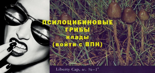 твердый Белоозёрский