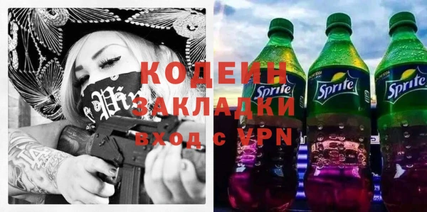 индика Тавда