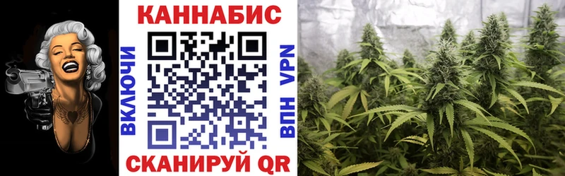 Шишки марихуана White Widow  что такое наркотик  Дагестанские Огни 