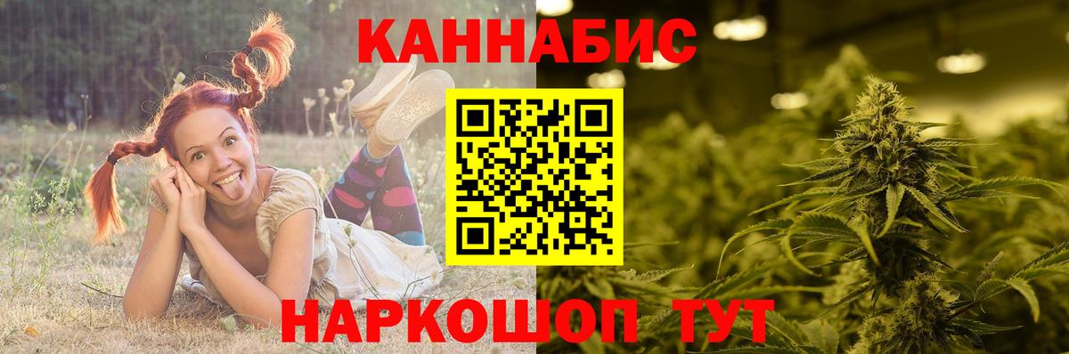 Бошки Шишки семена  Вход с VPN  Бошки Шишки SATIVA & INDICA  Бошки Шишки конопля  Дагестанские Огни 